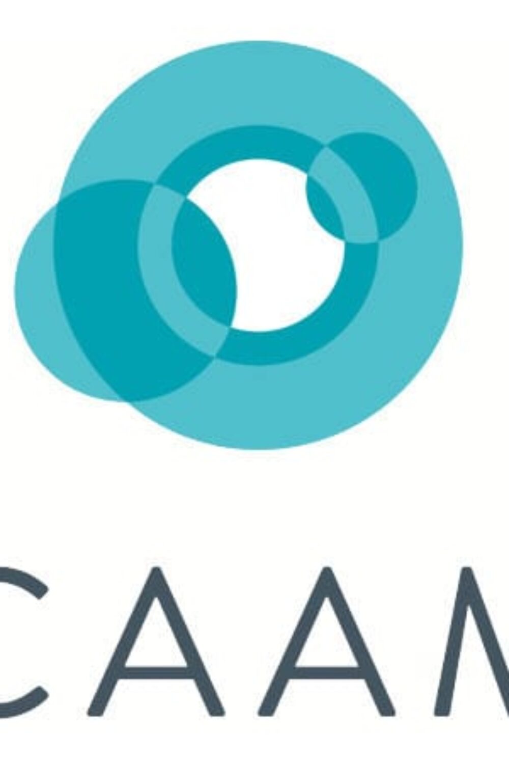 CAAM logo